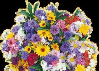 Как выбрать букет цветов на день рождения — советы флористов и психологов