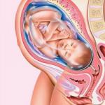 34 неделя беременности подробное описание