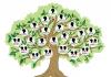 Родовід сім'ї: як скласти генеалогічне дерево?