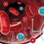 Stanovení fetálního Rh faktoru z krve matky