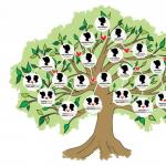 Family pedigree: how to make a family tree?