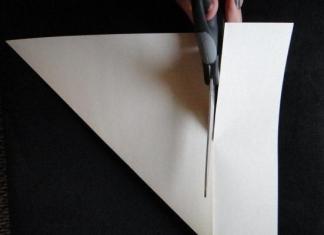 Craft - paper tulip: master class, diagram, template, larawan, video